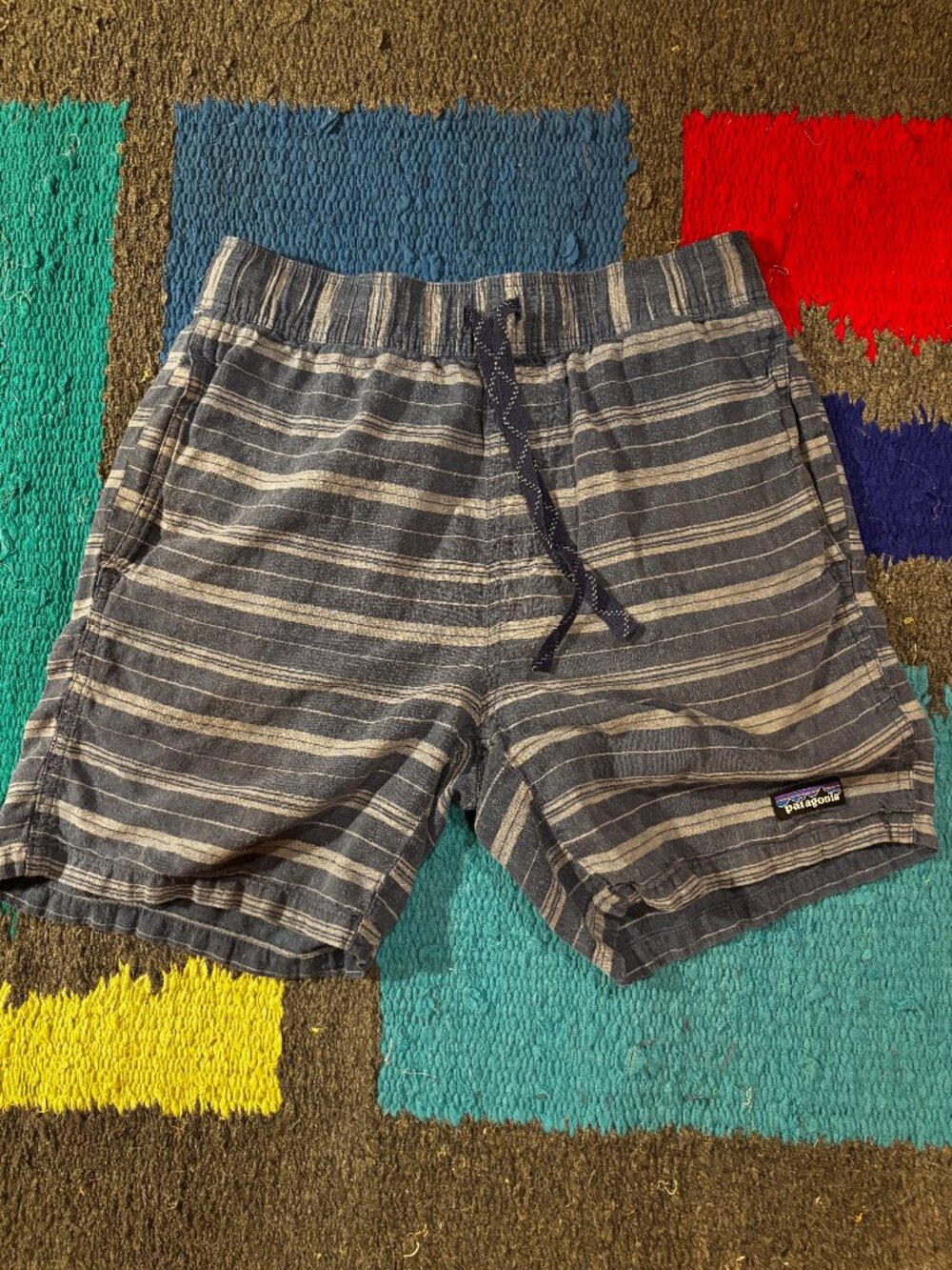 Men's Linen Patagonia Shorts